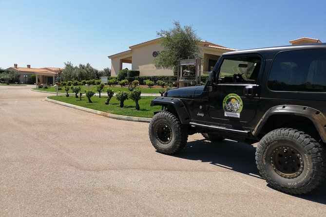 Private 4x4 Wine Tour from Athens to Marathon Lake and a Winery - Who This Private Marathon Lake and Winery Tour Suits Best