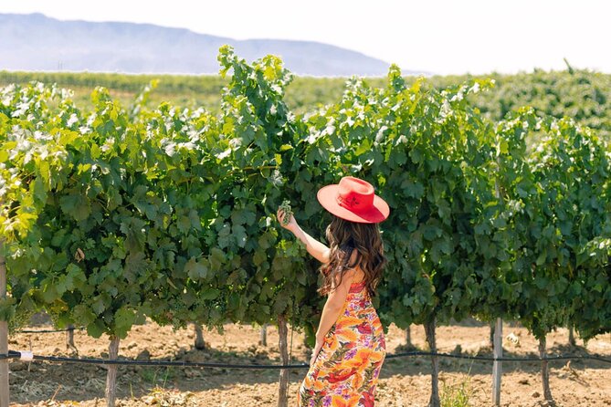PRIVATE All-Inclusive 3-Winery Tour from Santa Barbara in S.Y.V. - Key Things to Know Before You Go