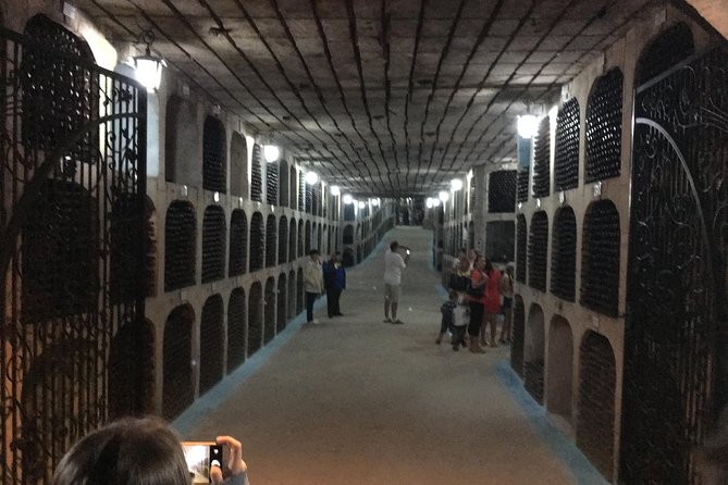 Private Bike Tour to Milestii Mici Winery with wine tasting and lunch - Key things I’d watch for before you go