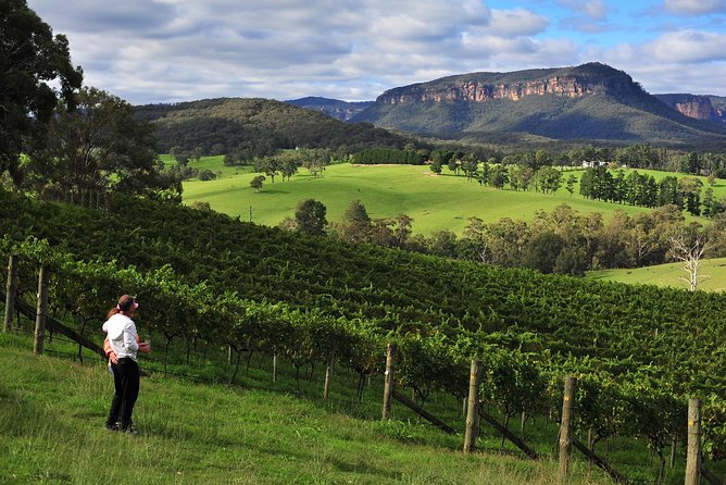Private Blue Mountains and Winery Day-Trip from Sydney - Megalong Valley: The Included Winery Tastings That Actually Matter