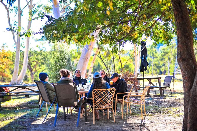 Private Blue Mountains and Winery Day-Trip from Sydney - Wentworth Falls Lookout: Short Walks, Big Views, No Drama