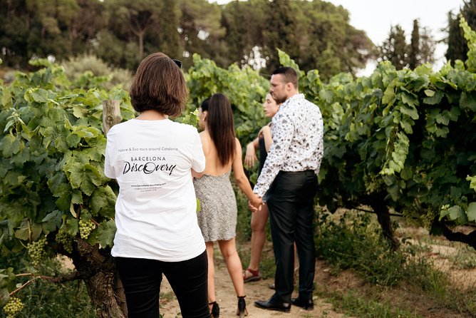 Private Breakfast Winery Experience - Private Wine Tasting Tour - First Stops: Agbar Tower and the Port of Masnou Before Alella