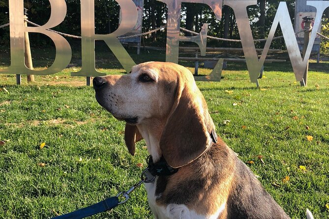 Private:Brewery, Winery, and Cider & Spirit Tastings Tour in SW Ontario - A chauffeur-driven tasting day from London, Ontario