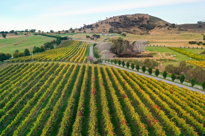 Private Canberra Winery Tour with lunch - Choosing your wineries: pick styles or let the guide choose