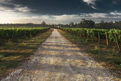 Private Customizable Niagara Day Trip/Wine Tour from Toronto - Niagara Falls Time You Can Shape (and Not Just Sit Through)