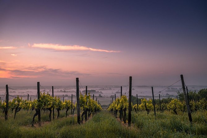 Private Customizable Niagara Day Trip/Wine Tour from Toronto - Smart Pickup in Toronto: Less Stress, More Time in Niagara
