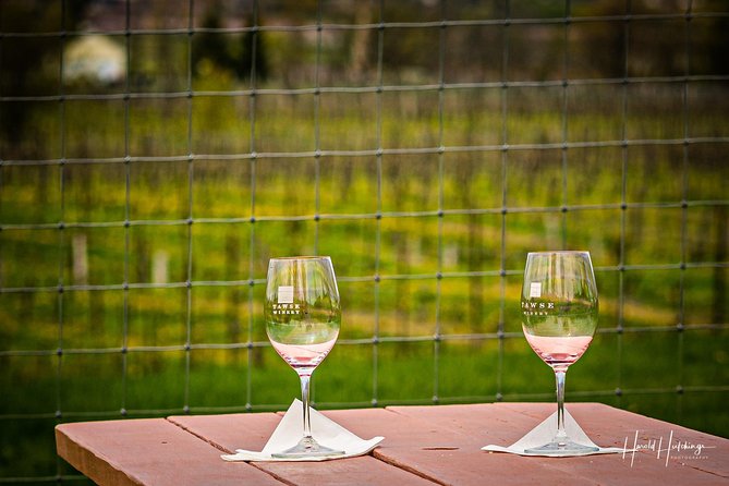 Private Customizable Niagara Day Trip/Wine Tour from Toronto - Who This Tour Fits Best (and Who Might Want a Different Setup)