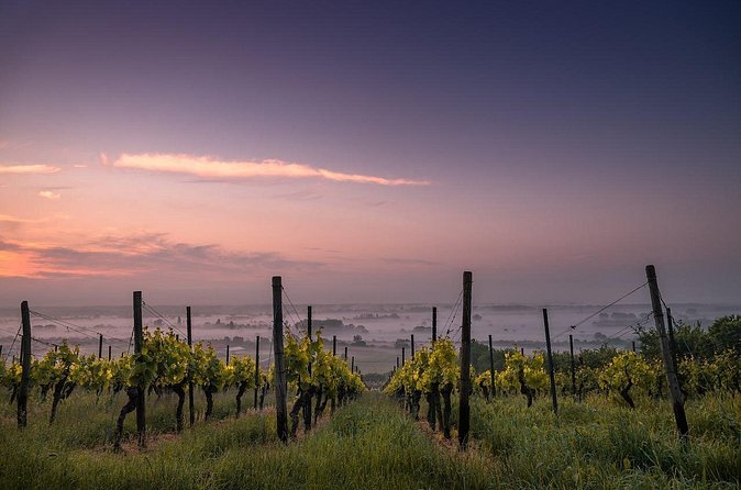 Private Customizable Niagara Winery Tour from Niagara Falls, NY - How customization works when there’s no set winery itinerary