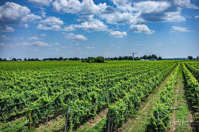 Private Customizable Scenic Niagara Boutique-Winery Day Tour - The Real Perk: A Driver Who Makes the Route Feel Effortless