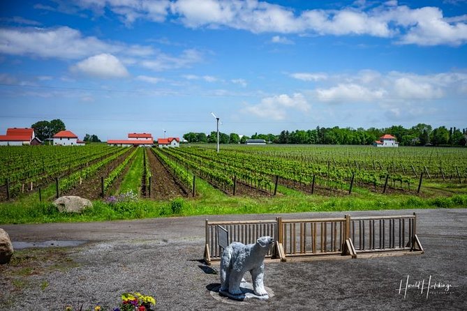 Private Customizable Wine-Tasting Adventure/Day Tour Niagara - Choosing wineries: up to five stops built around your taste