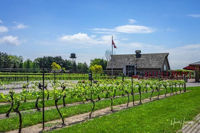 Private Customizable Wine-Tasting Adventure/Day Tour Niagara - Pacing and winery time: how you avoid the rushed feeling