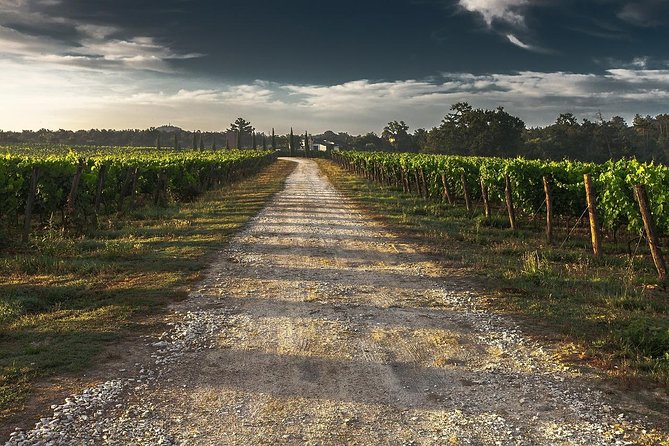 Private Customizable Wine-Tasting Adventure/Day Tour Niagara - Lunch and snacks: you start covered, but plan for a real meal
