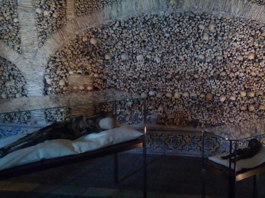 Private day tour to Évora: cork, factory, winery & the city - Cortiçarte: learning cork from the source
