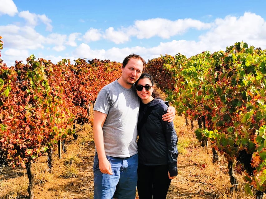 Private day tour to Évora: cork, factory, winery & the city - Ervideira winery stop: optional tasting, included experience
