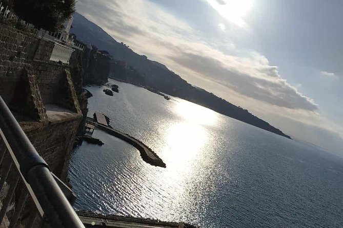 Private day tour to Pompei ,winery, Sorrento from Napoli/Salerno/Amalfi/Positano - Key highlights at a glance