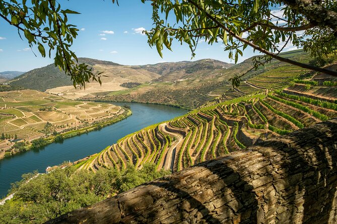 Private Douro Valley Tour: Boutique Winery & River Cruise - Key Points You’ll Care About