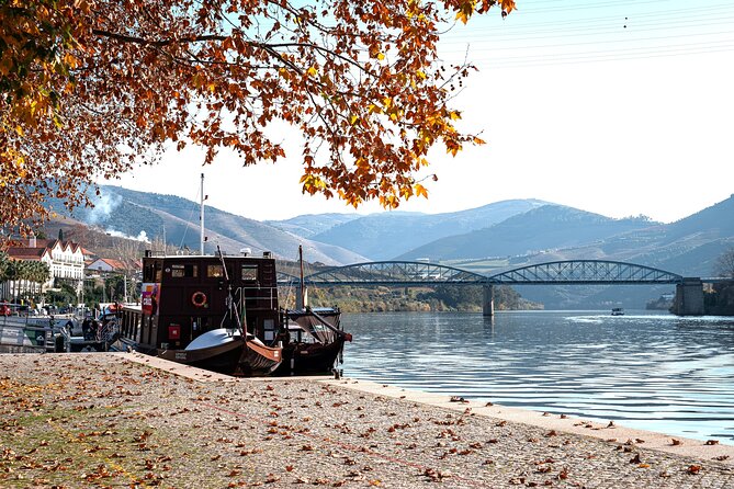 Private Douro Valley Tour: Boutique Winery & River Cruise - Porto to Douro Valley: The Best Part Is You Don’t Drive