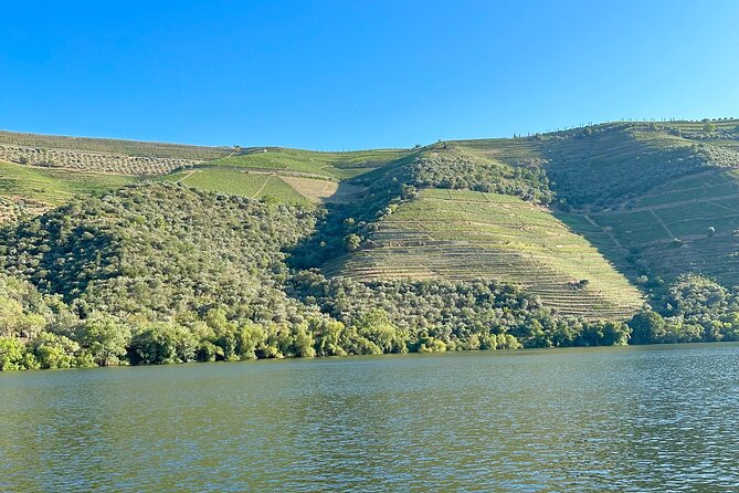 Private Douro Valley Winery Tour and River Cruise w/ Mercedes SUV - Douro River Cruise: Seeing Villages and Vineyard Slopes From Water Level