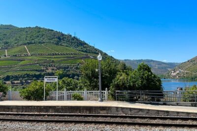 Private Douro Valley Winery Tour and River Cruise w/ Mercedes SUV - Quinta do Bomfim Wine Tasting: The Part That Turns Views Into Flavor