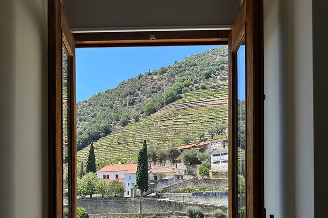 Private Douro Valley Winery Tour and River Cruise w/ Mercedes SUV - Timing, Pickup, and the 7–8 Hour Flow From Porto