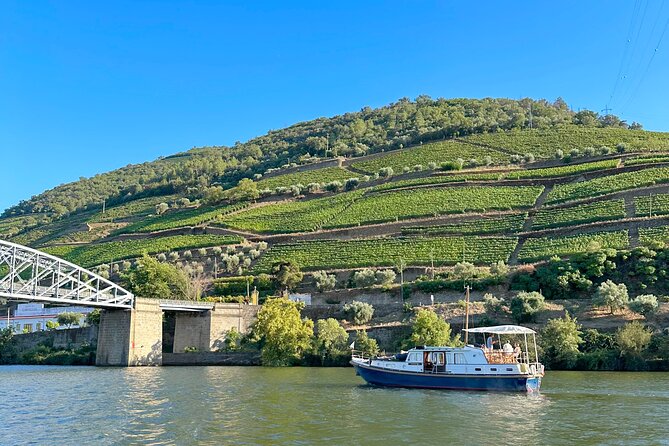 Private Douro Valley Winery Tour and River Cruise w/ Mercedes SUV - Price and Value: Is $235.81 Worth It?