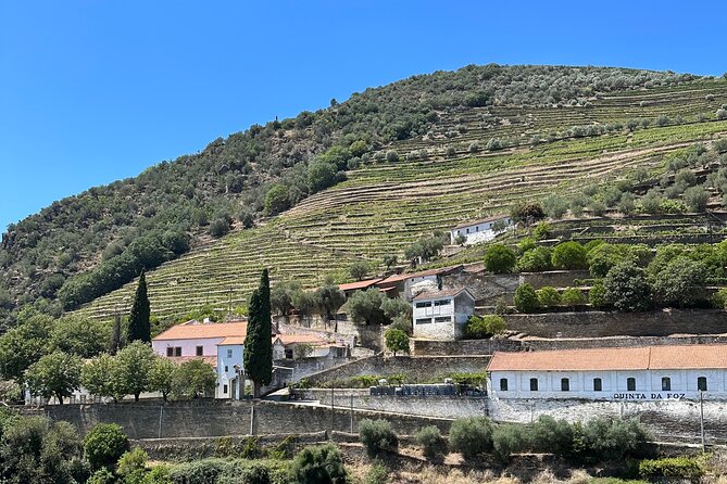 Private Douro Valley Winery Tour and River Cruise w/ Mercedes SUV - Who This Private Douro Day Suits Best