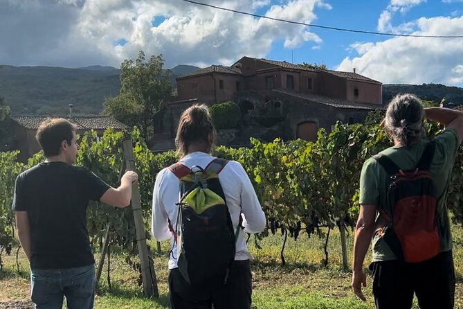 Private Etna Tour and 200 Years Old Winery Visit with Lunch - Who This Tour Fits Best (and Who Should Skip It)