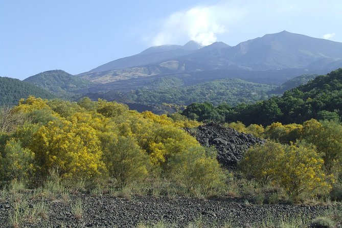 Private Etna tour from Messina Cruise Terminal+ Lunch at Winery - The Etna winery tasting lunch: what you actually get to drink and eat