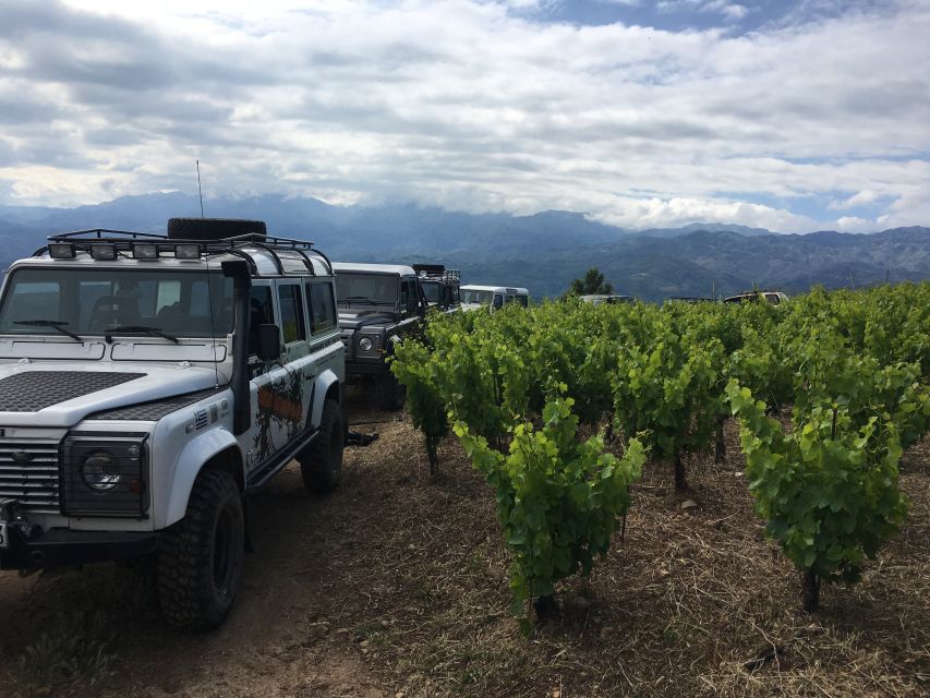Private Exclusive Manousakis Winery and Vineyard Tour - Key things that make this tour worth your time