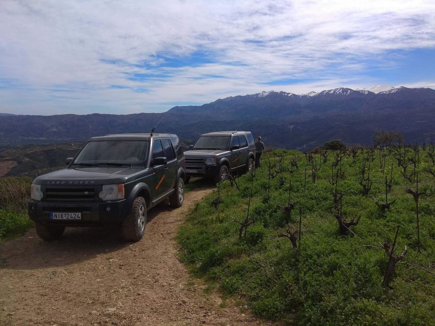 Private Exclusive Manousakis Winery and Vineyard Tour - The real vibe: wine, views, and a bumpy road to earn them