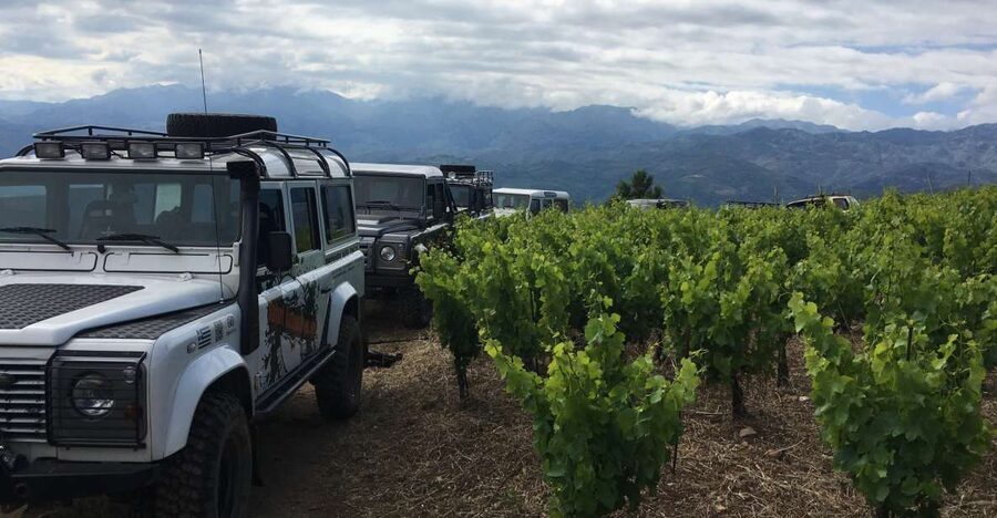Private Exclusive Manousakis Winery and Vineyard Tour - The off-road vineyard ride: fun, scenic, and not for everyone