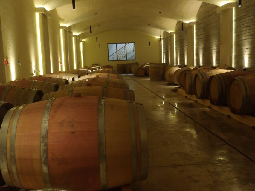 Private Exclusive Manousakis Winery and Vineyard Tour - Manousakis Winery: lunch, guided tour, and the five-wine tasting