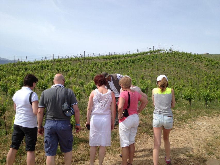 Private Exclusive Manousakis Winery and Vineyard Tour - What you’ll need to bring (and what can ruin your day)