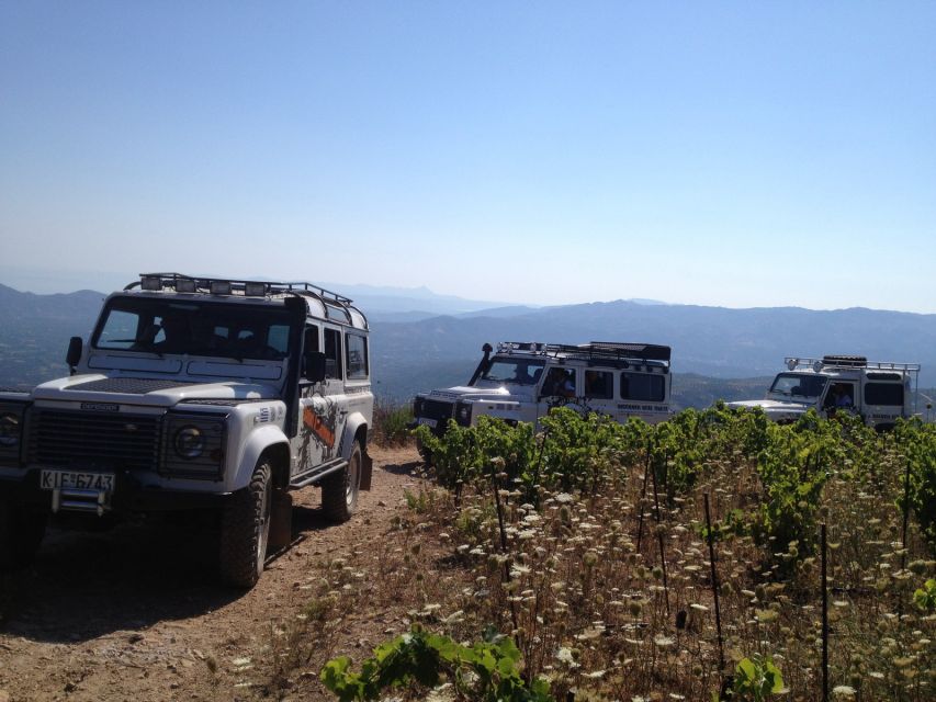 Private Exclusive Manousakis Winery and Vineyard Tour - How the timing really feels on the ground