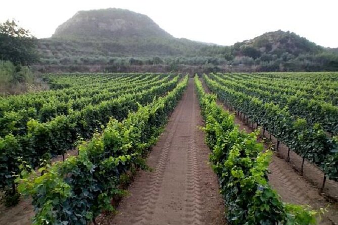 Private Excursion to Ancient Olympia - bee farm & winery - Price and Value: What You Pay for, and What Costs Extra