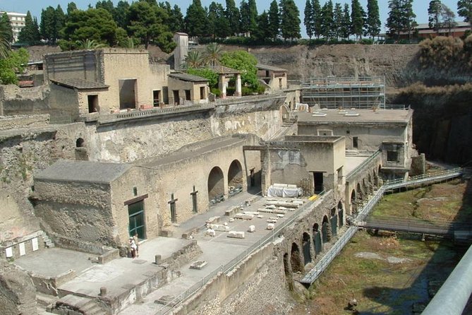 Private Full-Day Tour to Pompeii and Mt. Vesuvius with Winery Visit - Logistics that matter: pickup, tickets, and a chaotic port gate