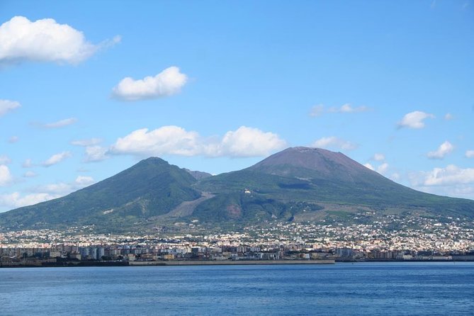 Private Full-Day Tour to Pompeii and Mt. Vesuvius with Winery Visit - Who should book this tour (and who should rethink it)