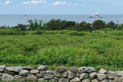 Private, Guided Sightseeing Tour of Marthas Vineyard Island(3hrs) - Getting your bearings: Steamship Wharf to West Chop’s coast