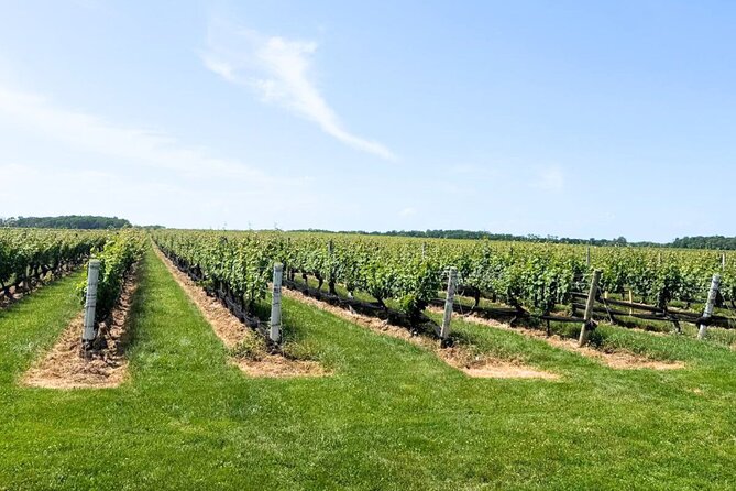Private Luxury Wine Tours of Long Island Pindar Winery - Raphael Winery in Peconic: boutique estate, Mediterranean style, quick tasting