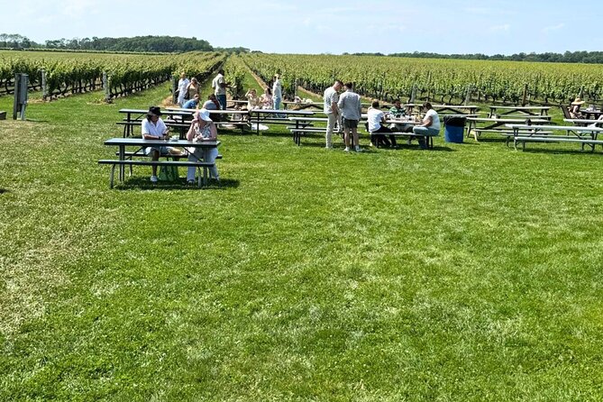 Private Luxury Wine Tours of Long Island Pindar Winery - Alcohol rules and who this tour fits best