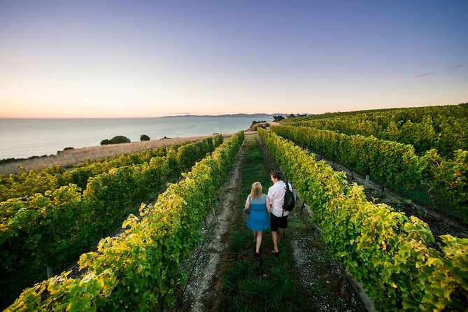Private Marlborough Winery Tour - Key highlights you’ll feel on the day