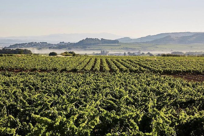 Private Montserrat Tour, Wine Taste & Local Lunch from Barcelona - Price and Value: Is $690 Per Person Worth It?