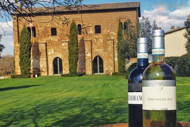 Private Orvieto Daytrip from Rome with Winery Visit - Private Orvieto Daytrip From Rome: Why This Format Works