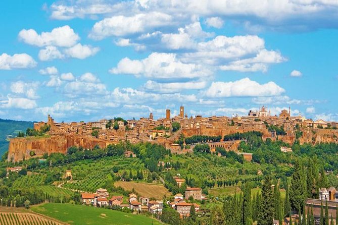 Private Orvieto Daytrip from Rome with Winery Visit - Who This Orvieto Wine Daytrip Fits Best