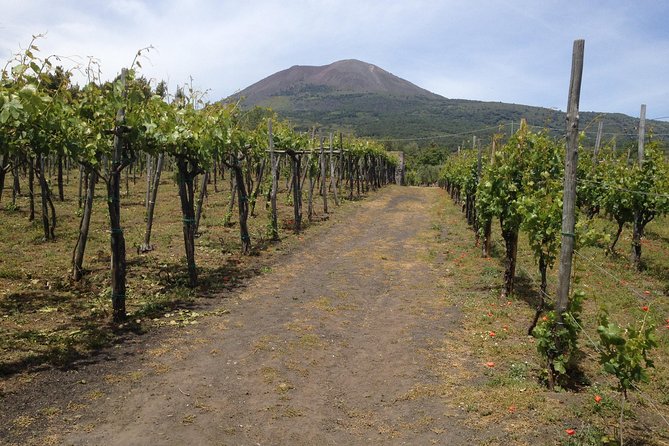 Private Pompeii, Herculaneum and Winery Tour from Naples - How this Naples tour makes Pompeii and Herculaneum easier