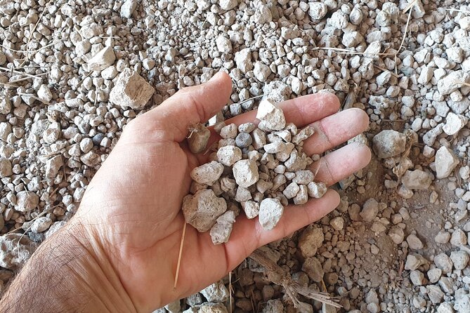 Private Pompeii Tour with Archaeologist & Winery on Mt Vesuvius - Price and value: what you pay up front vs what to budget on the spot