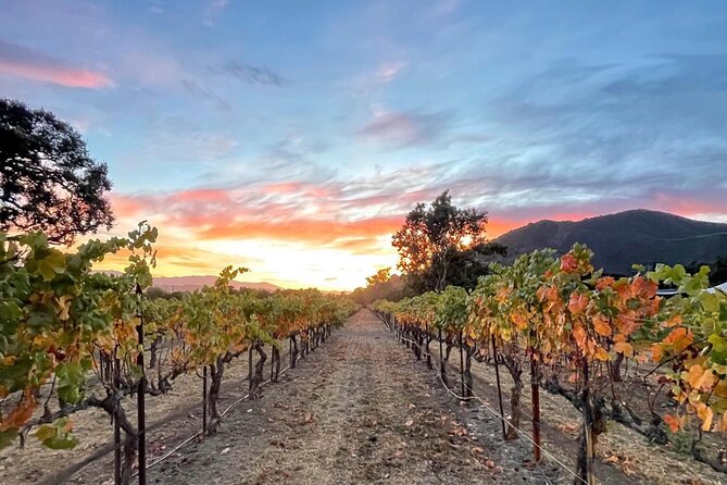 Private Santa Barbara Wine Country Vineyards & Villages Tour - How the tour really runs: time blocks you can feel