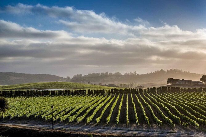 Private Santa Barbara Wine Country Vineyards & Villages Tour - The guide effect: why Julie and Ken keep showing up
