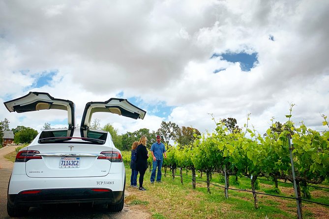 Private Santa Barbara Winery and Estate Tour in Tesla SUV - Practical tips before you go: shoes, layers, and tasting pace