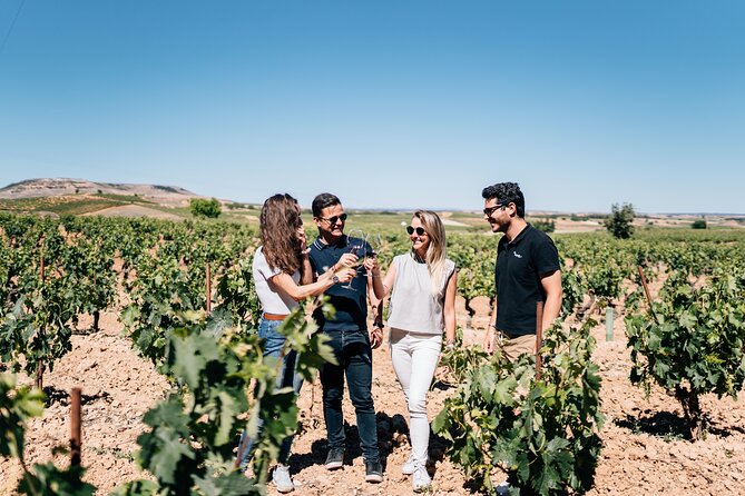 Private Segovia & Ribera del Duero with Wine Tasting from Madrid - The Big Picture: Wine Country and Segovia, Side by Side